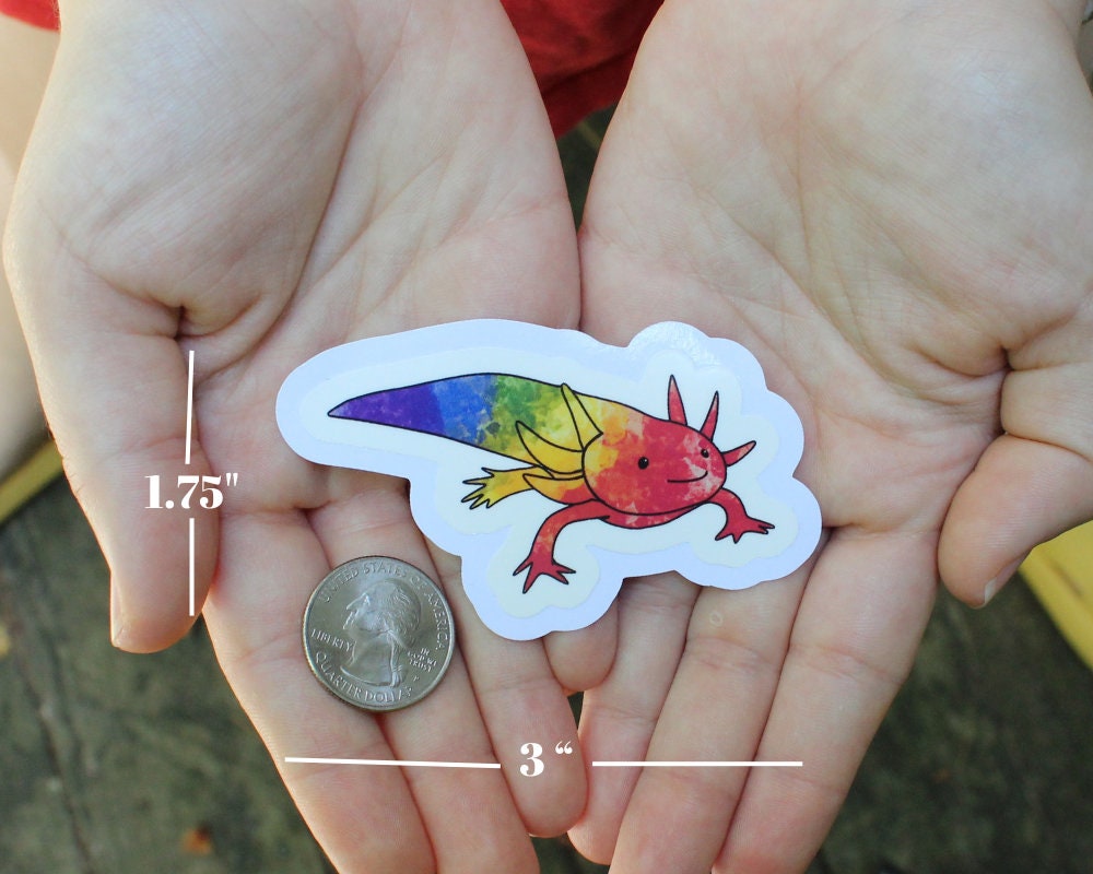 Rainbow Axolotl Stickers, LGBTQ stickers, Easy Peel, Laminated Vinyl, Original Artwork